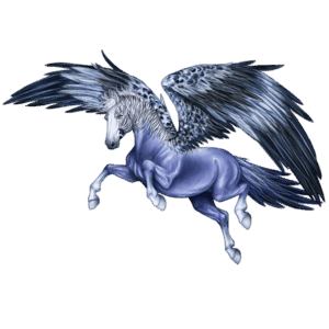 cavalo errante dos pássaros bodião