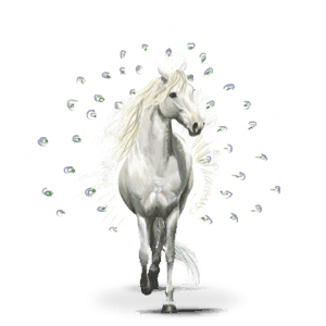 cavalo errante dos pássaros pavão