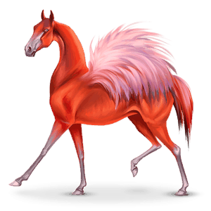 cavalo errante dos pássaros phoenico