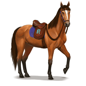cavalo divino etrian